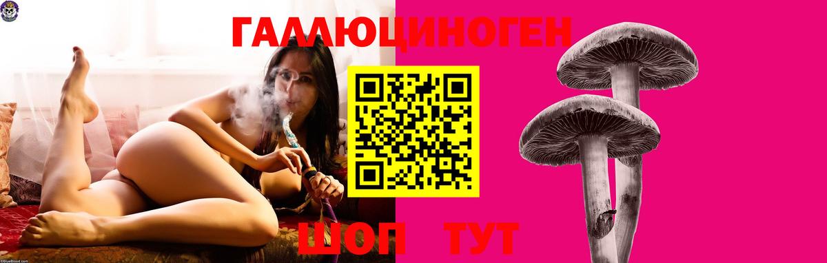 купить закладку  Вход с VPN  Горячий Ключ  Псилоцибиновые грибы Psilocybine cubensis 
